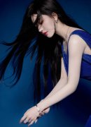 根据《中国规律处分条例》《中华人平易近国监